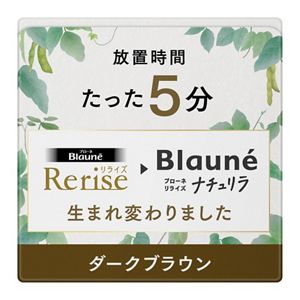 ブローネ　ナチュリラ　色長持ちカラートリートメント　ダークブラウン　つけかえ