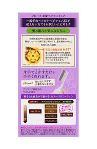 ブローネ 美髪ヘアマニキュア アッシュブラウン ［クシつき］