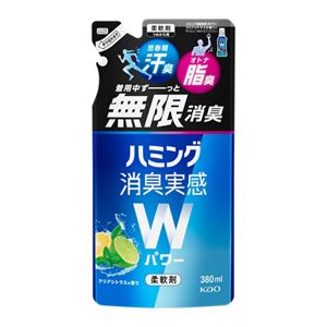 ハミング消臭実感Ｗパワー　クリアシトラスの香り　つめかえ用　３８０ｍｌ