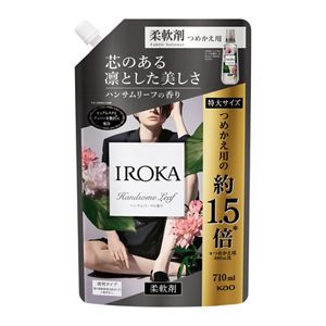 ＩＲＯＫＡ　ハンサムリーフ　スパウト　６５０ｍｌ