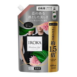 ＩＲＯＫＡ　ハンサムリーフ　スパウト　６５０ｍｌ